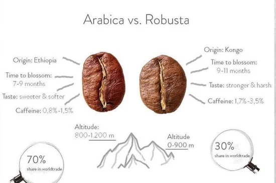 arabica va cafe robusta